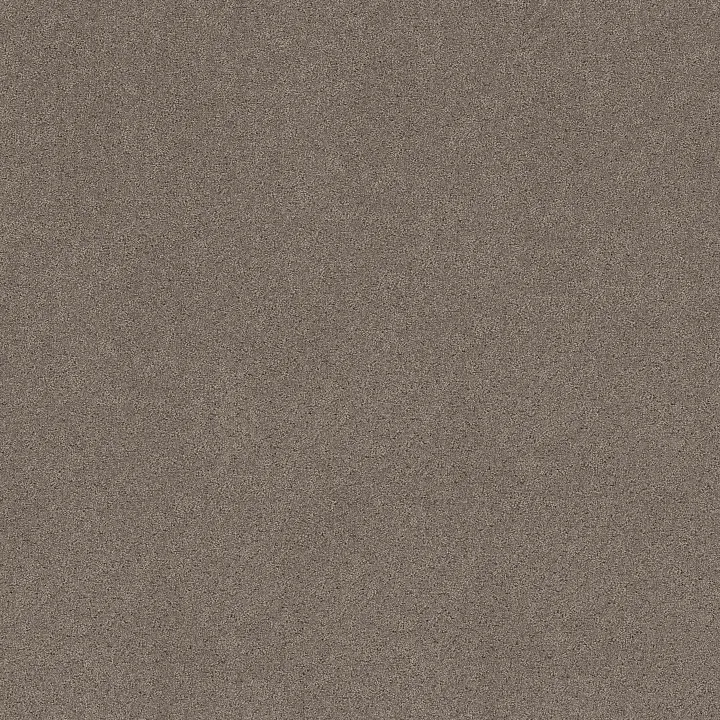 Shaw Floors Secret Adventure — Hideaway · 5E901-00722 — flooring selection with LeviArs Design & Remodeling