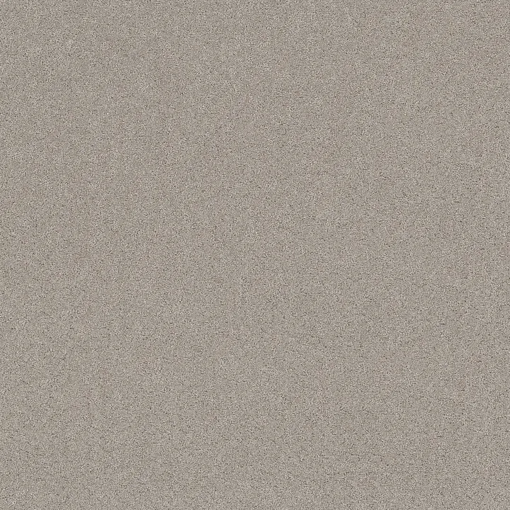 Shaw Floors Secret Adventure — Marble · 5E901-00523 — flooring selection with LeviArs Design & Remodeling