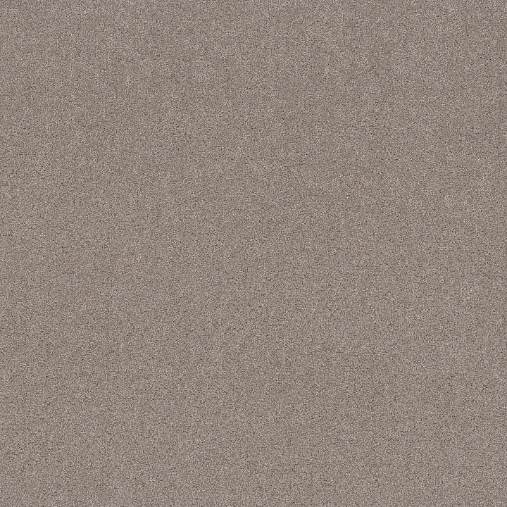 Shaw Floors Secret Adventure — Mocha · 5E901-00721 — flooring selection with LeviArs Design & Remodeling