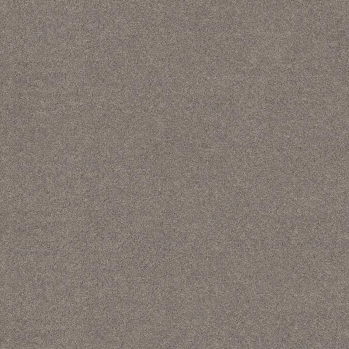 Shaw Floors Secret Adventure — Shadows · 5E901-00524 — flooring selection with LeviArs Design & Remodeling