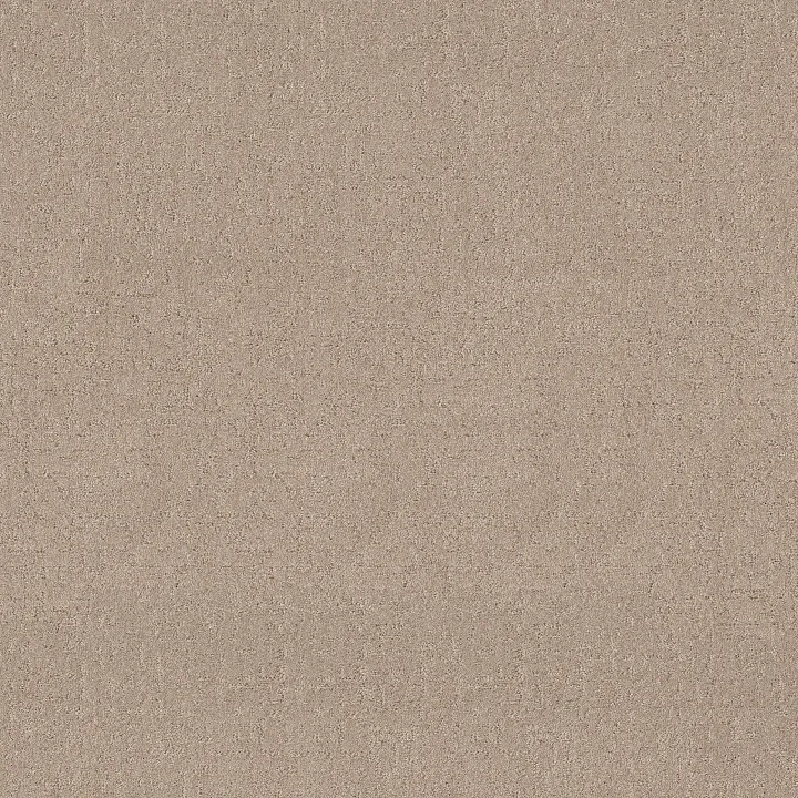Shaw Floors Secret Destination — Baja · 5E876-00720 — flooring selection with LeviArs Design & Remodeling