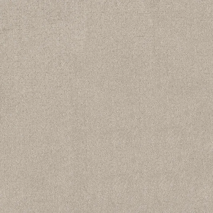 Shaw Floors Secret Destination — Beige Mist · 5E876-00121 — flooring selection with LeviArs Design & Remodeling
