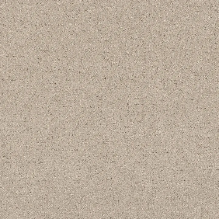Shaw Floors Secret Destination — Cafe Latte · 5E876-00122 — flooring selection with LeviArs Design & Remodeling