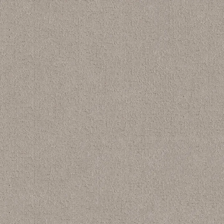 Shaw Floors Secret Destination — Chic Taupe · 5E876-00124 — flooring selection with LeviArs Design & Remodeling
