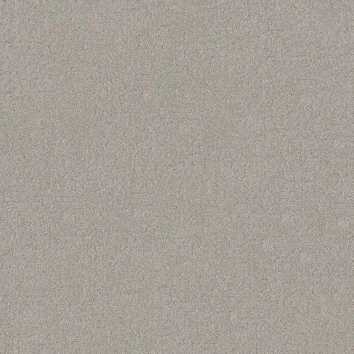 Shaw Floors Secret Destination — Four Winds · 5E876-00520 — flooring selection with LeviArs Design & Remodeling