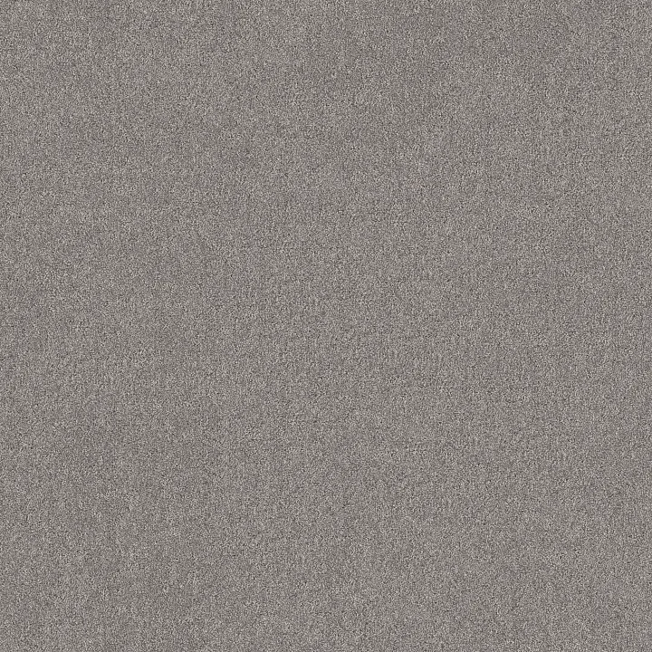 Shaw Floors Secret Destination — Graphic · 5E876-00522 — flooring selection with LeviArs Design & Remodeling