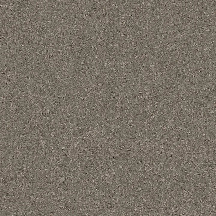 Shaw Floors Secret Destination — Hideaway · 5E876-00722 — flooring selection with LeviArs Design & Remodeling