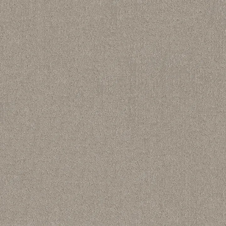 Shaw Floors Secret Destination — Marble · 5E876-00523 — flooring selection with LeviArs Design & Remodeling