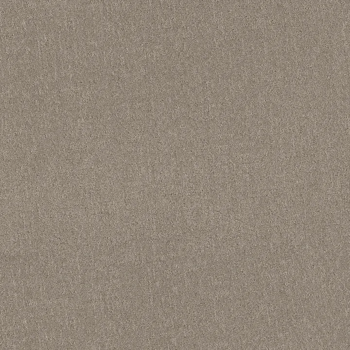 Shaw Floors Secret Destination — Mocha · 5E876-00721 — flooring selection with LeviArs Design & Remodeling
