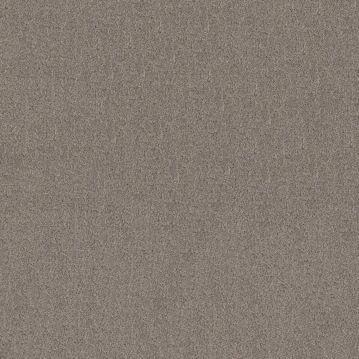 Shaw Floors Secret Destination — Shadows · 5E876-00524 — flooring selection with LeviArs Design & Remodeling