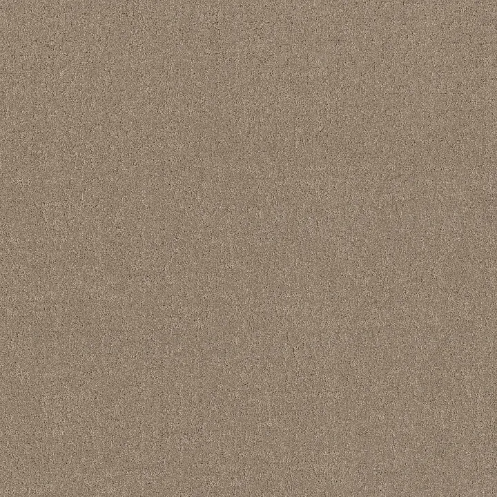 Shaw Floors Secret Destination — Stonecrest · 5E876-00123 — flooring selection with LeviArs Design & Remodeling