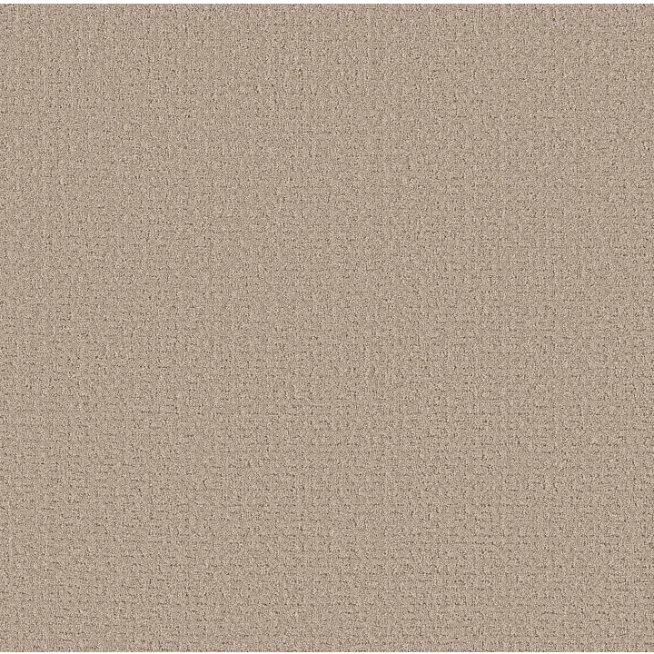 Shaw Floors Secret Journey — Baja · 5E875-00720 — flooring selection with LeviArs Design & Remodeling