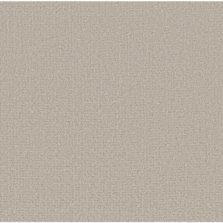 Shaw Floors Secret Journey — Beige Mist · 5E875-00121 — flooring selection with LeviArs Design & Remodeling