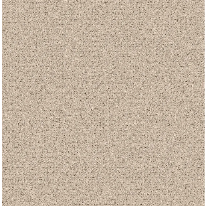 Shaw Floors Secret Journey — Dune View · 5E875-00120 — flooring selection with LeviArs Design & Remodeling
