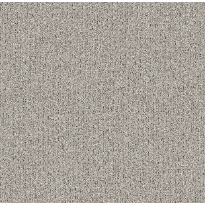 Shaw Floors Secret Journey — Four Winds · 5E875-00520 — flooring selection with LeviArs Design & Remodeling