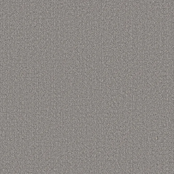 Shaw Floors Secret Journey — Graphic · 5E875-00522 — flooring selection with LeviArs Design & Remodeling