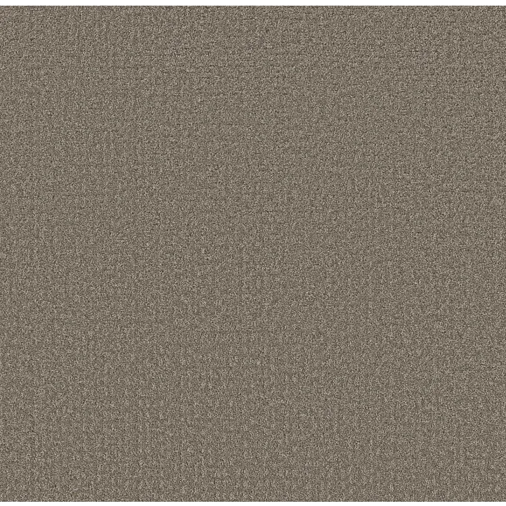Shaw Floors Secret Journey — Hideaway · 5E875-00722 — flooring selection with LeviArs Design & Remodeling