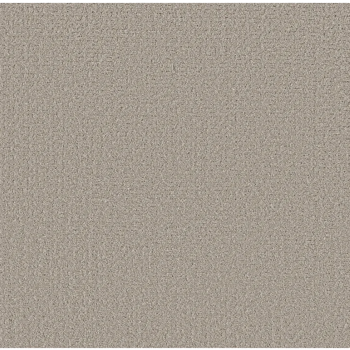 Shaw Floors Secret Journey — Marble · 5E875-00523 — flooring selection with LeviArs Design & Remodeling