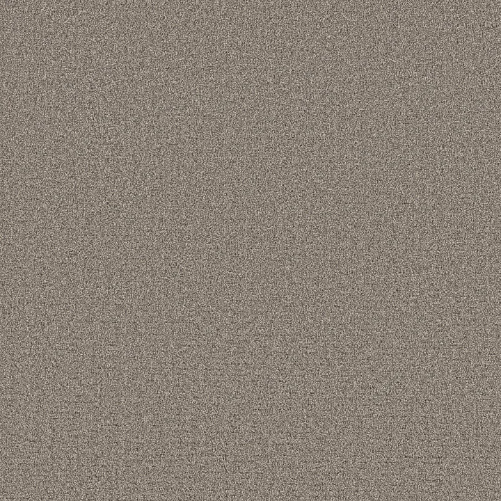 Shaw Floors Secret Journey — Shadows · 5E875-00524 — flooring selection with LeviArs Design & Remodeling