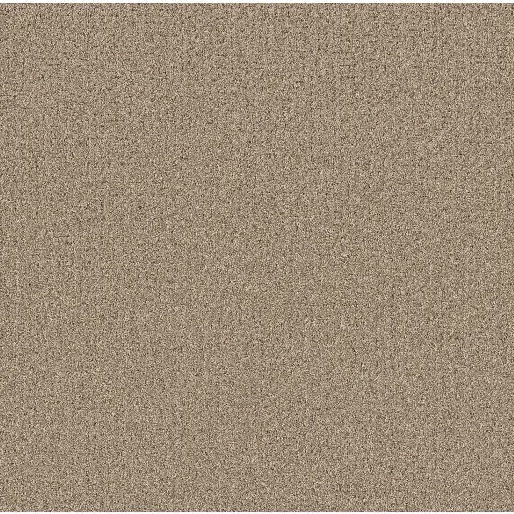 Shaw Floors Secret Journey — Stonecrest · 5E875-00123 — flooring selection with LeviArs Design & Remodeling