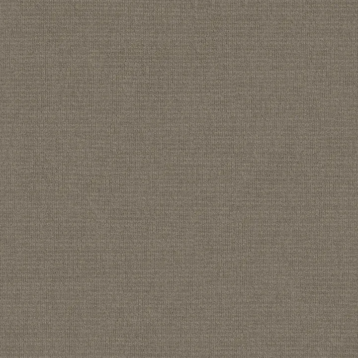 Shaw Floors Sensible Now — Abbey Stone · E9720-00771 — flooring selection with LeviArs Design & Remodeling