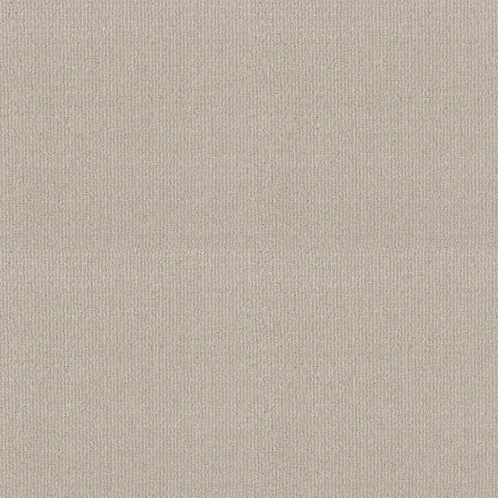 Shaw Floors Sensible Now — Alabaster · E9720-00176 — flooring selection with LeviArs Design & Remodeling
