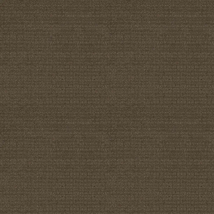 Shaw Floors Sensible Now — Antique Chest · E9720-00774 — flooring selection with LeviArs Design & Remodeling