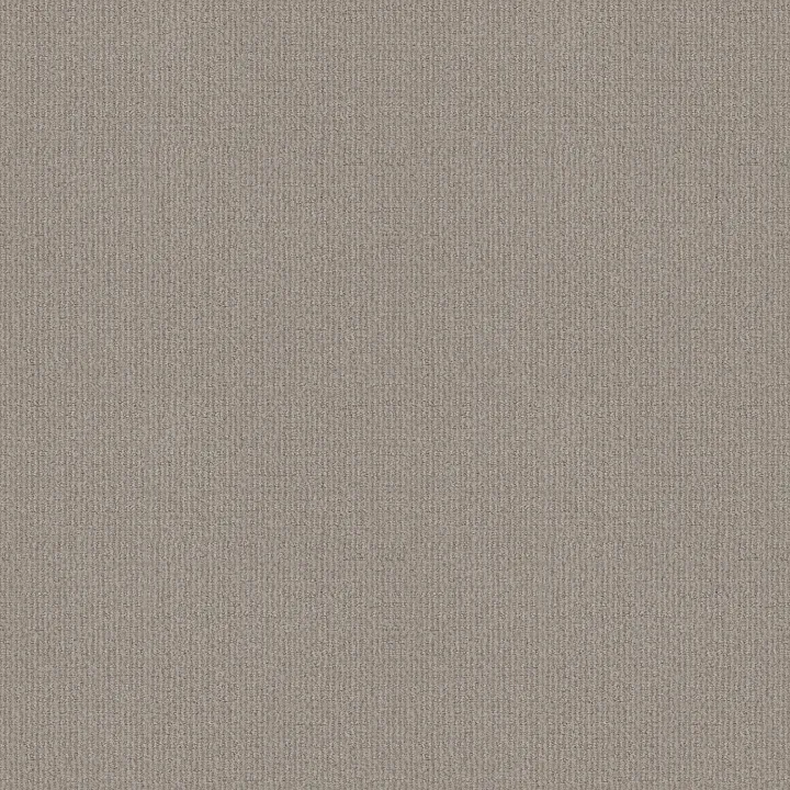 Shaw Floors Sierra Vista — Etched Glass · 5E824-00576 — flooring selection with LeviArs Design & Remodeling