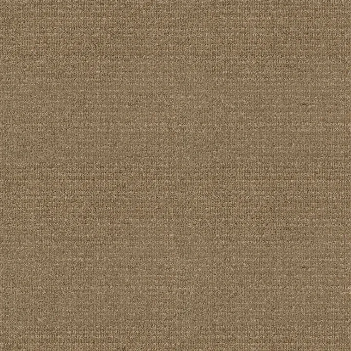 Shaw Floors Sensible Now — Gold Rush · E9720-00270 — flooring selection with LeviArs Design & Remodeling