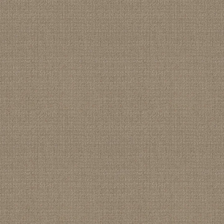Shaw Floors Sierra Vista — High Noon · 5E824-00178 — flooring selection with LeviArs Design & Remodeling