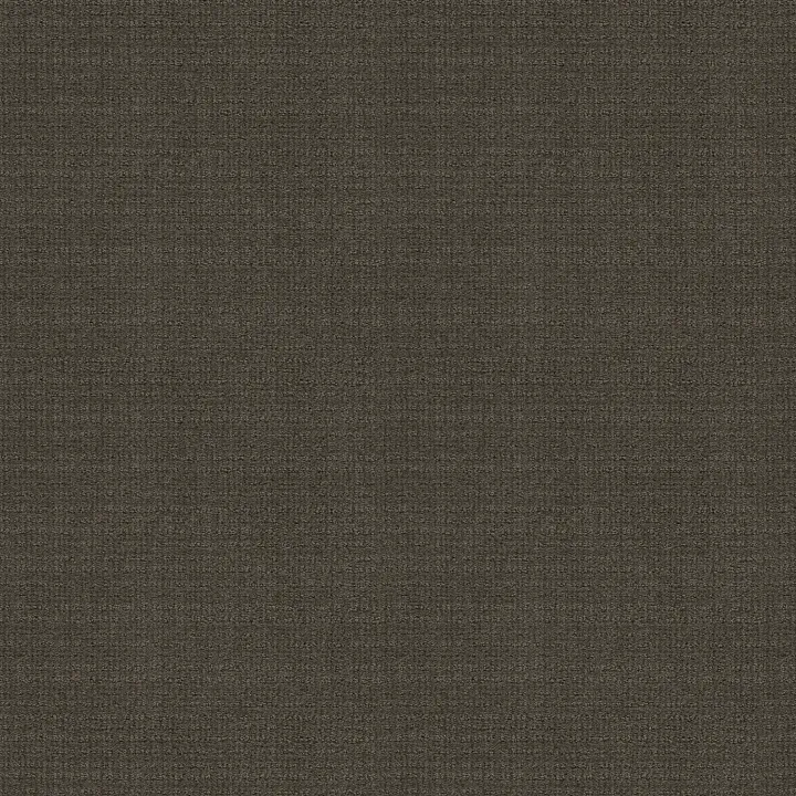 Shaw Floors Sensible Now — Iron Gate · E9720-00775 — flooring selection with LeviArs Design & Remodeling