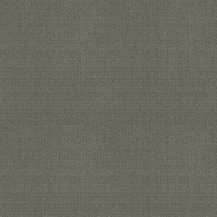 Shaw Floors Sensible Now — Metal · E9720-00577 — flooring selection with LeviArs Design & Remodeling