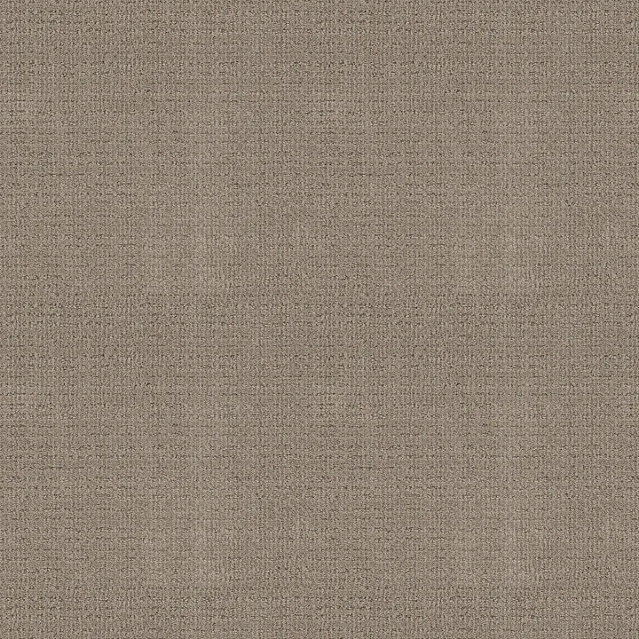 Shaw Floors Sierra Vista — Park Avenue · 5E824-00770 — flooring selection with LeviArs Design & Remodeling