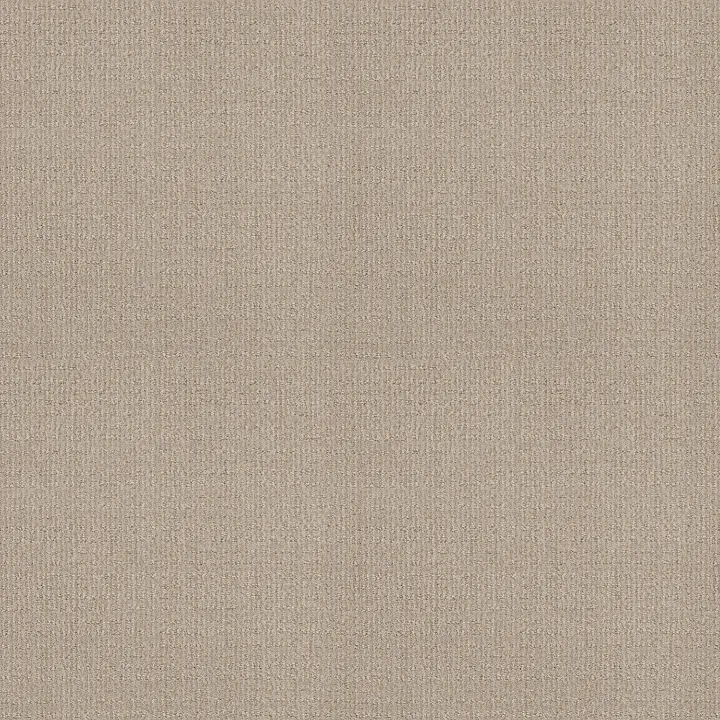 Shaw Floors Sensible Now — Passageway · E9720-00177 — flooring selection with LeviArs Design & Remodeling
