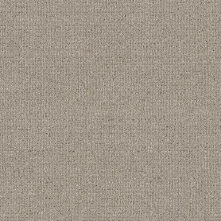 Shaw Floors Sensible Now — Quiet Moment · E9720-00175 — flooring selection with LeviArs Design & Remodeling