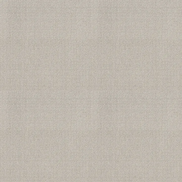 Shaw Floors Sierra Vista — Rock Crystal · 5E824-00574 — flooring selection with LeviArs Design & Remodeling