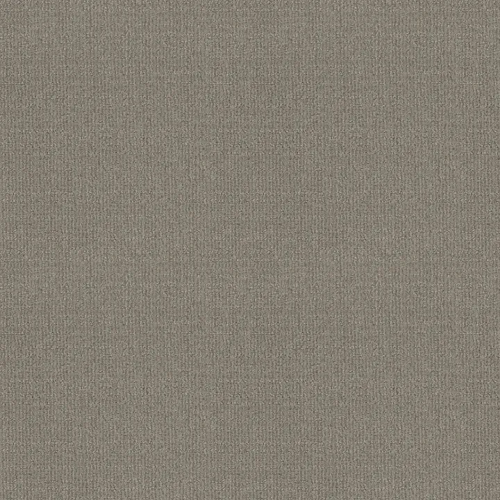 Shaw Floors Sierra Vista — Silhouette · 5E824-00573 — flooring selection with LeviArs Design & Remodeling