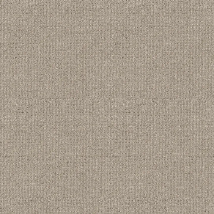 Shaw Floors Sensible Now — Studio Taupe · E9720-00173 — flooring selection with LeviArs Design & Remodeling
