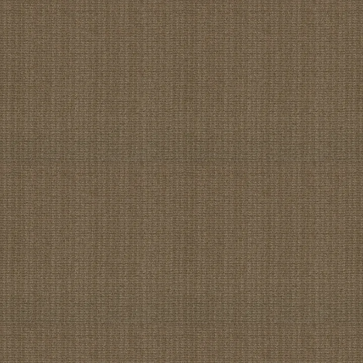 Shaw Floors Sensible Now — Summerville · E9720-00776 — flooring selection with LeviArs Design & Remodeling
