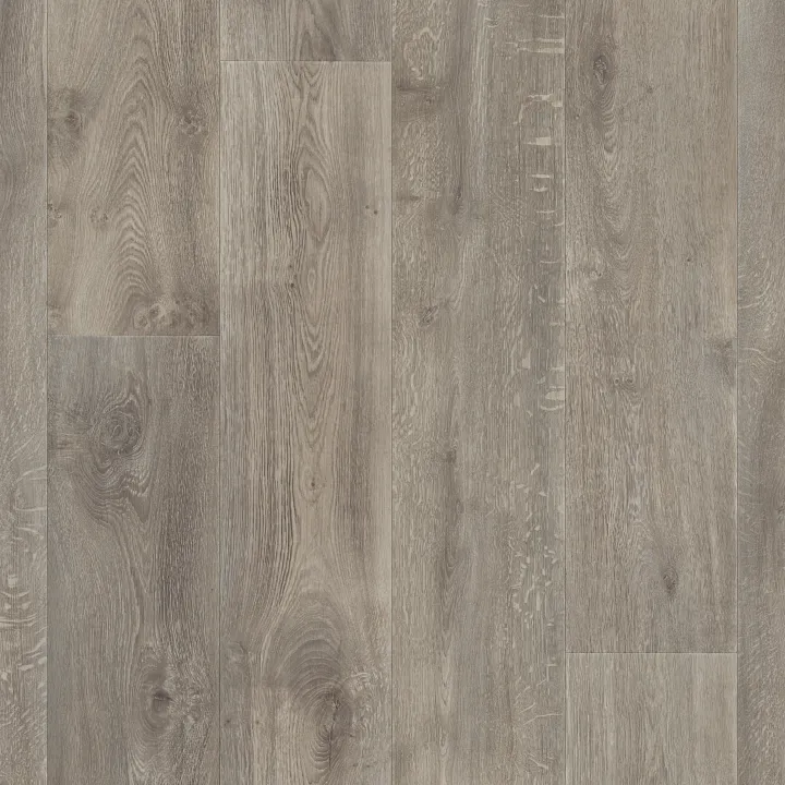 Shaw Floors Serendipity — Aries · 1024V-05096 — flooring selection with LeviArs Design & Remodeling