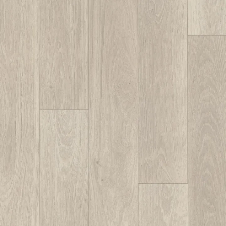 Shaw Floors Serendipity — Pegasus · 1024V-01067 — flooring selection with LeviArs Design & Remodeling