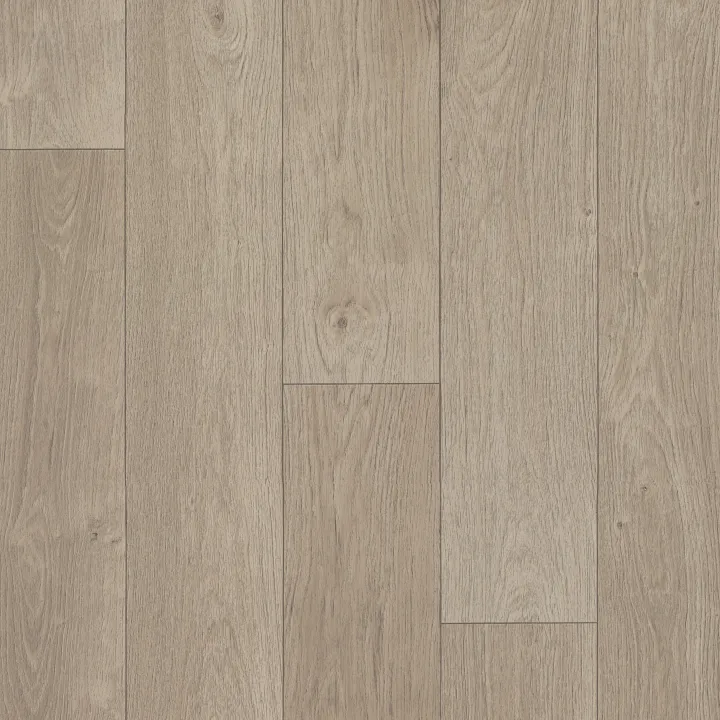 Shaw Floors Serendipity — Perseus · 1024V-05095 — flooring selection with LeviArs Design & Remodeling