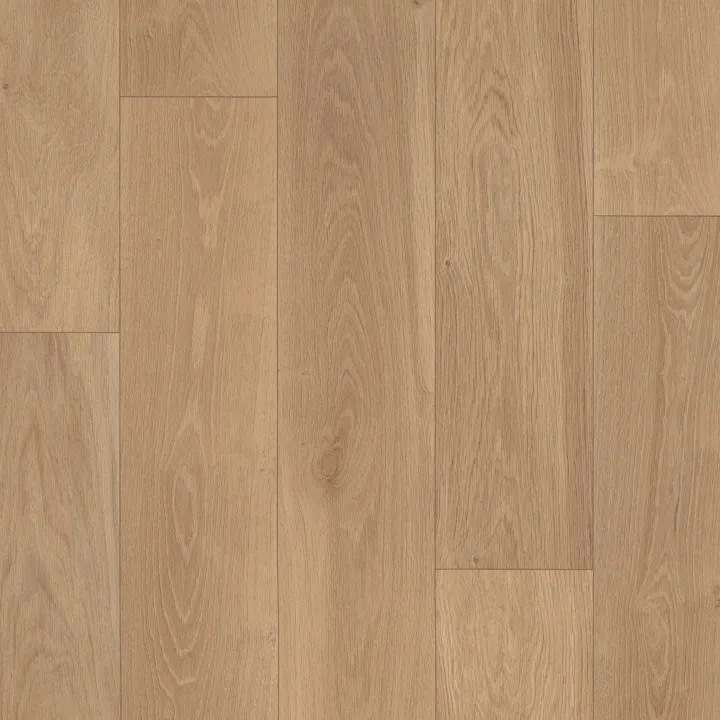 Shaw Floors Serendipity — Phoenix · 1024V-02026 — flooring selection with LeviArs Design & Remodeling