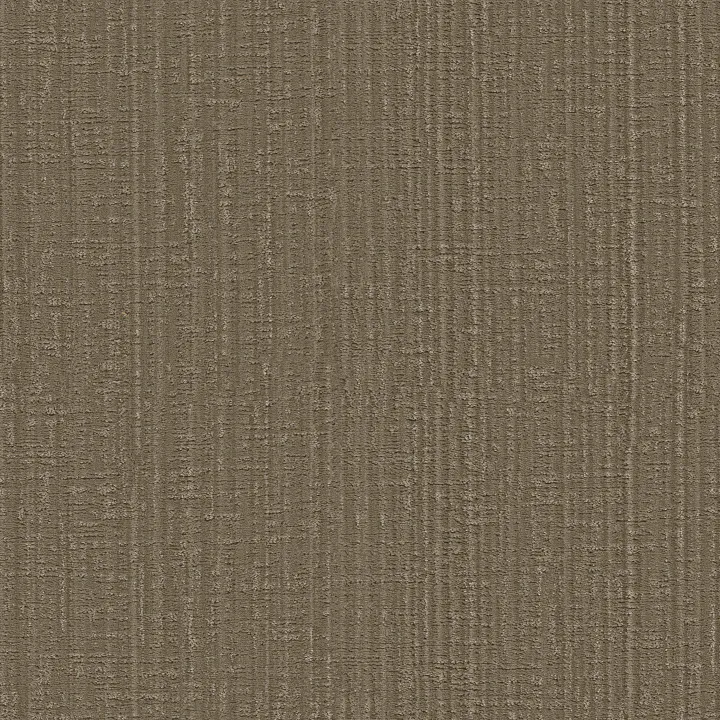 Shaw Floors Shady Stroll — Acorn · 5E689-00704 — flooring selection with LeviArs Design & Remodeling