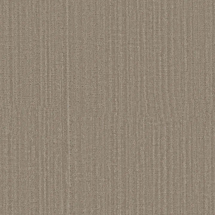 Shaw Floors Shady Stroll — Cobblestone · 5E689-00109 — flooring selection with LeviArs Design & Remodeling