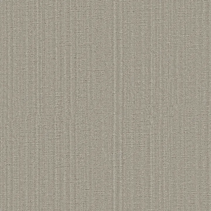 Shaw Floors Shady Stroll — Dreamy Beige · 5E689-00108 — flooring selection with LeviArs Design & Remodeling