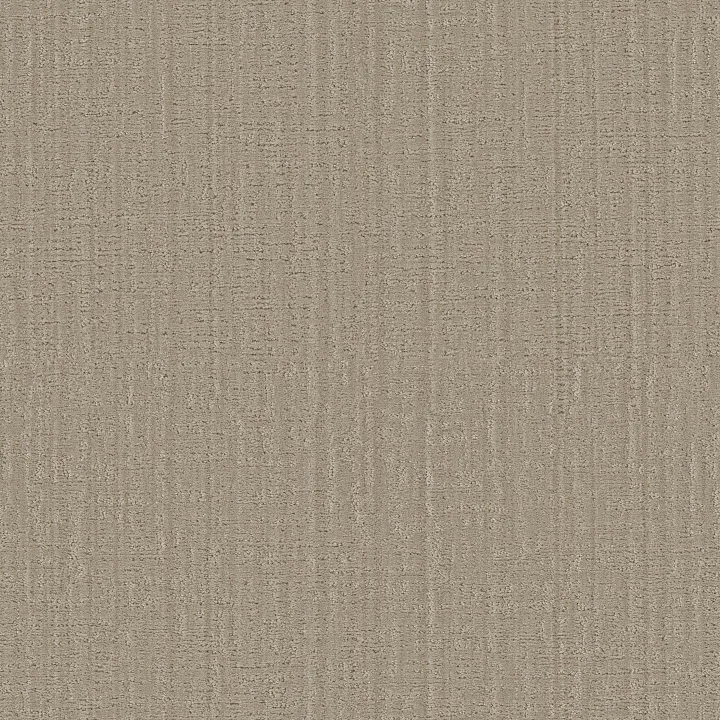 Shaw Floors Shady Stroll — Dried Wheat · 5E689-00107 — flooring selection with LeviArs Design & Remodeling