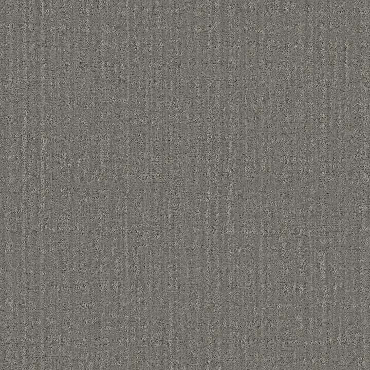 Shaw Floors Shady Stroll — Sheer Taupe · 5E689-00504 — flooring selection with LeviArs Design & Remodeling