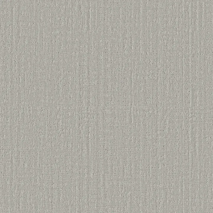 Shaw Floors Shady Stroll — Silver Cloud · 5E689-00101 — flooring selection with LeviArs Design & Remodeling