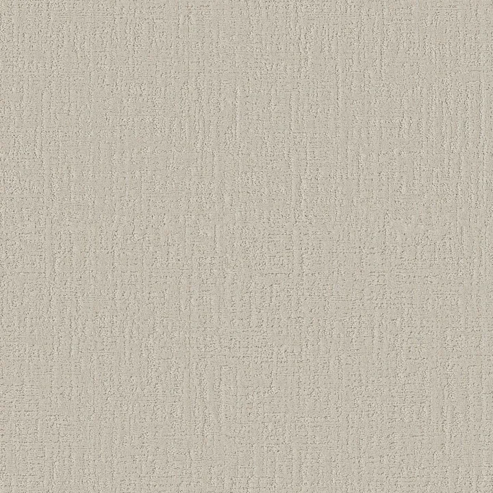 Shaw Floors Shady Stroll — Warm Light · 5E689-00103 — flooring selection with LeviArs Design & Remodeling